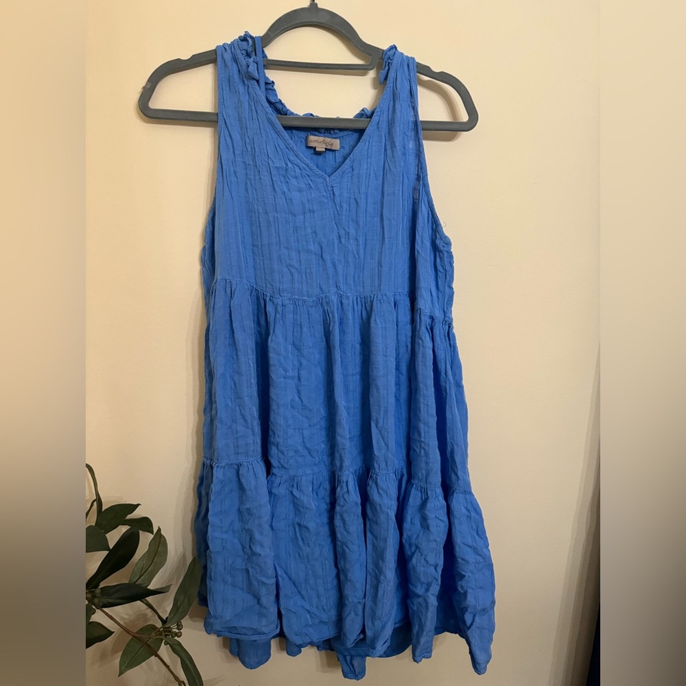 Blue dress with slip